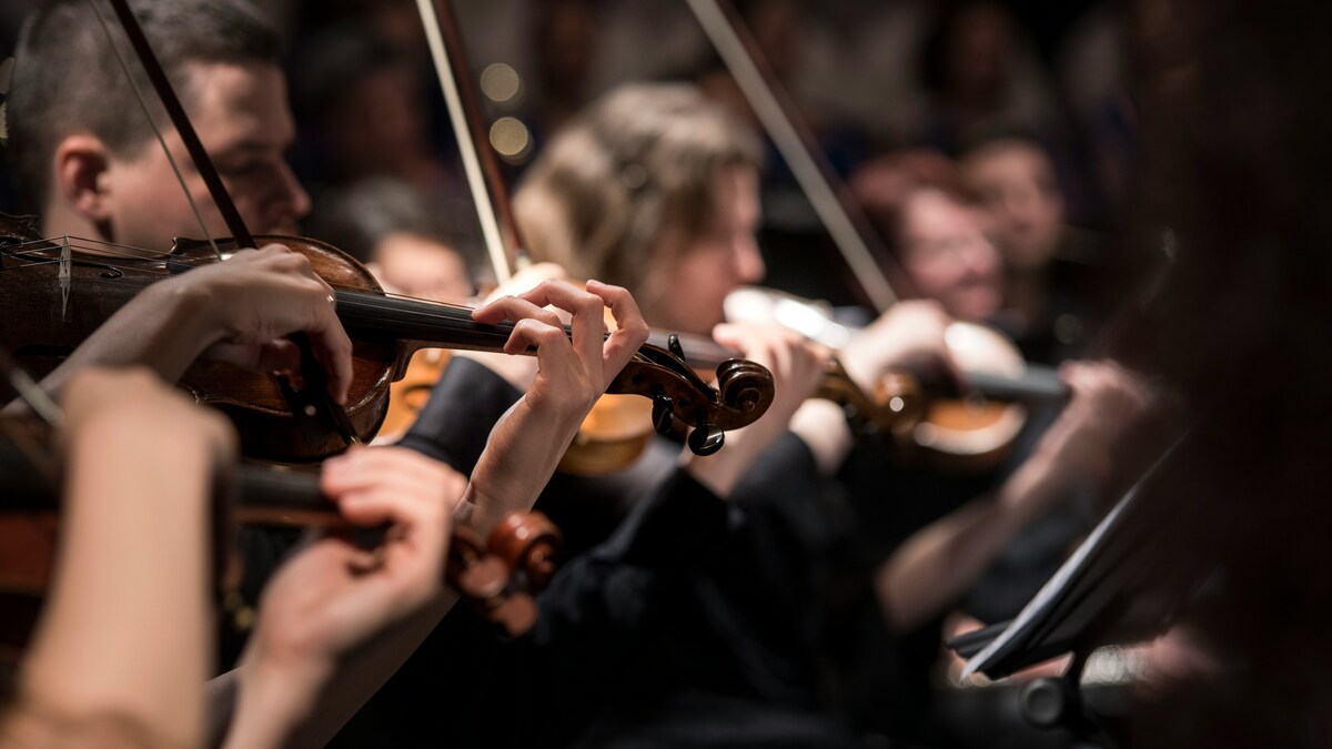 Concert gratuït de música clàssica al Parc de la Ciutadella.